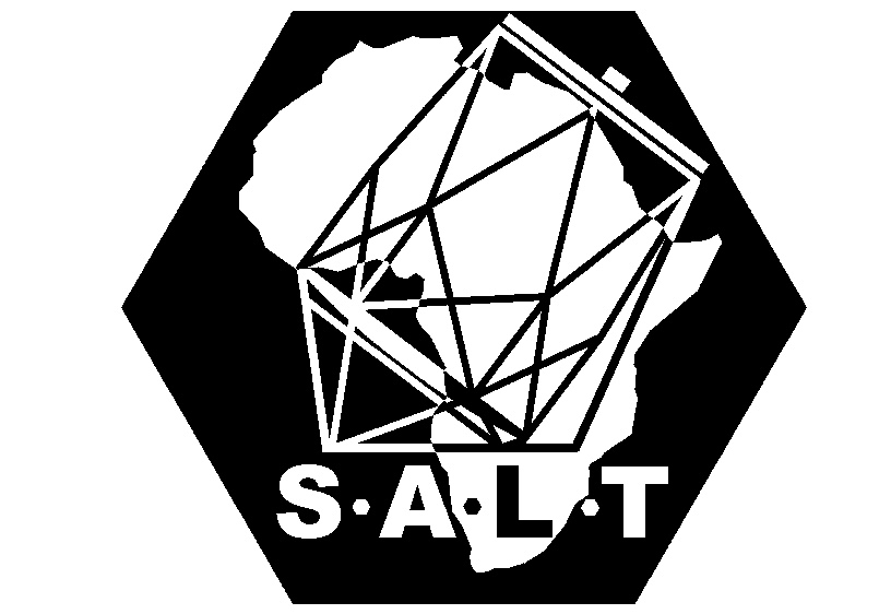 SALT logo